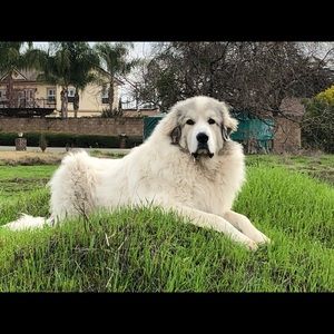 Meet your Posher, Shawna